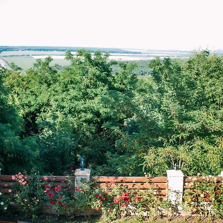 Curtea Boierului Hotel Peresecina Екстериор снимка